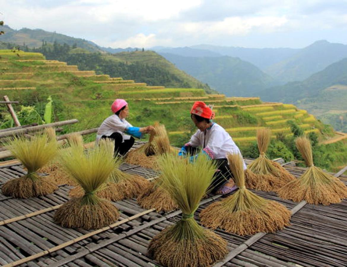 Secret Courtyard Resort Hotel Guilin Buitenkant foto